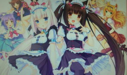 动漫猫娘,猫娘的奇幻冒险之旅